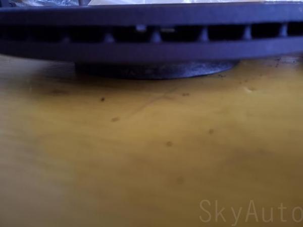 20210127_165816_R.jpg