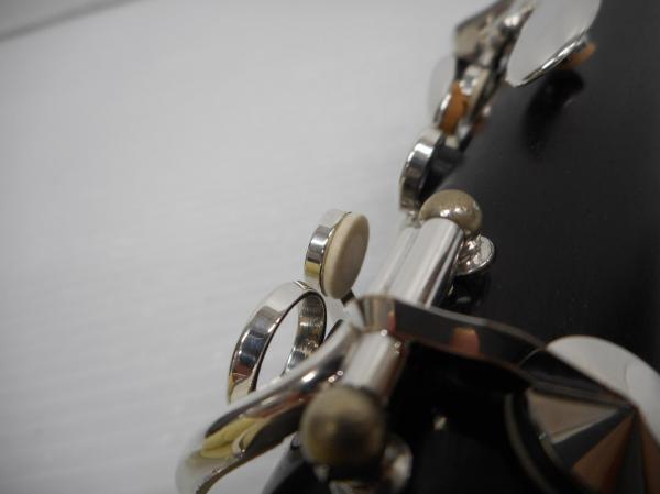 DSCN0821.JPG