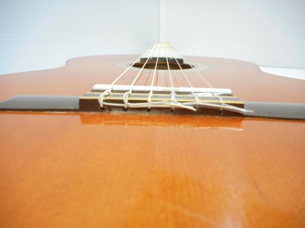 DSCN7593.JPG