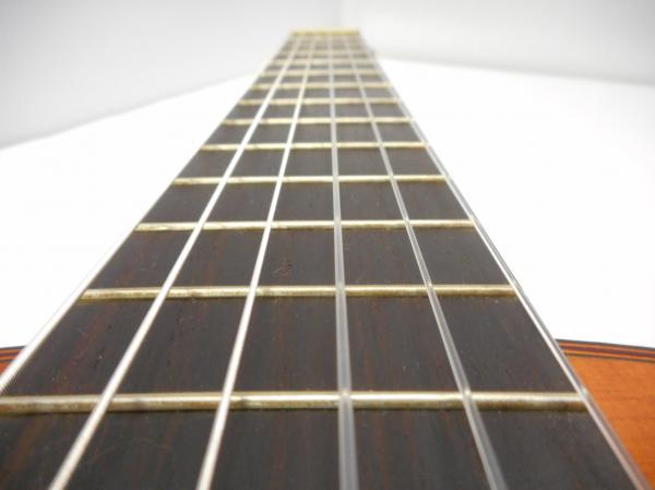 DSCN4223.JPG