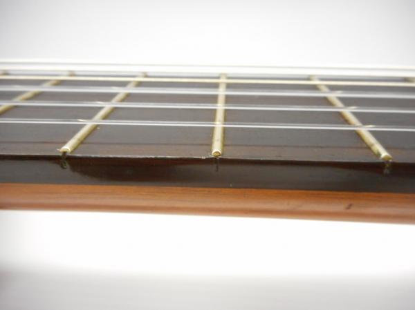 DSCN4225.JPG