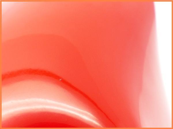 P1550327_GF.jpg
