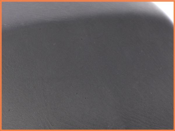 P1800230_GF.jpg