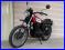 IMG_5343　250TR.JPG