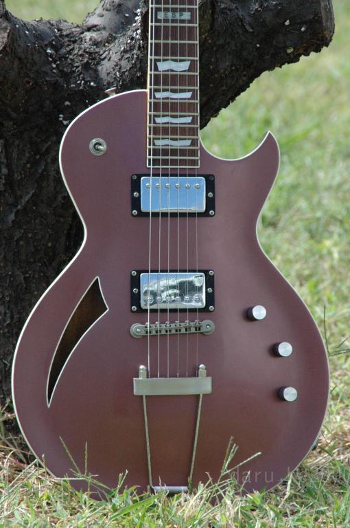 ESP エクリプス セミホロウ