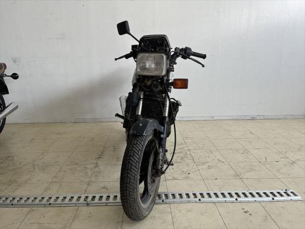 IMG_5402_R.JPG