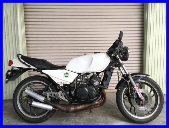 IMG_9704 RZ250 0512.JPG