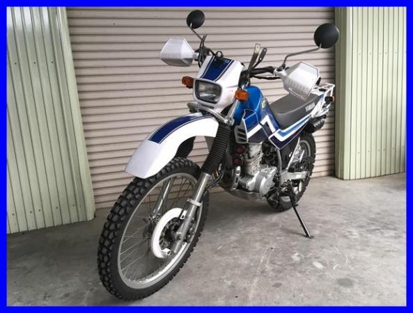 IMG_0666 セロー225WE 0055.JPG