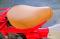 DSCF3723.JPG