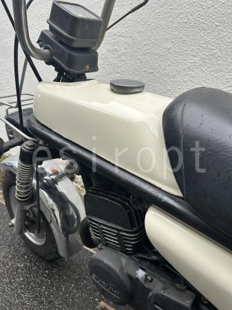 S__242761746.jpg