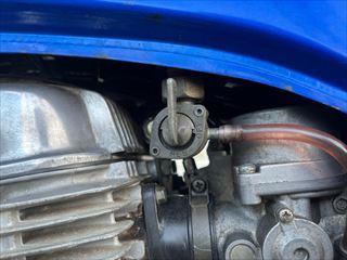 IMG_8277_R.jpg
