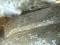 IMG_9302.jpeg
