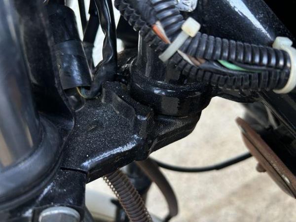 IMG_7015_R.JPG