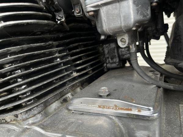 IMG_5375_R.JPG