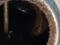 IMG_7048.jpeg
