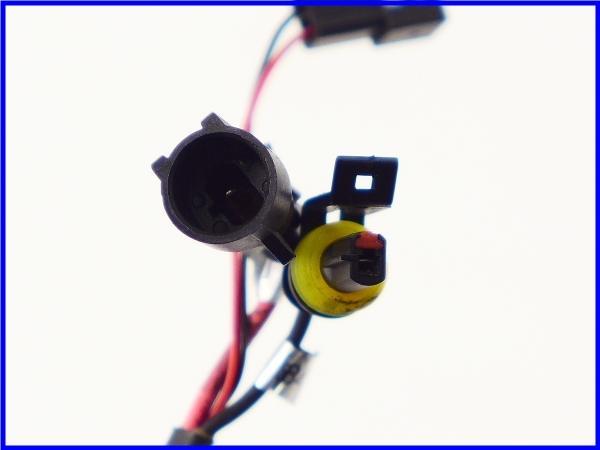 P1150580_GF.jpg