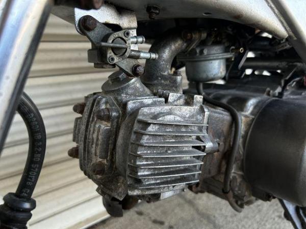 IMG_8203_R.JPG