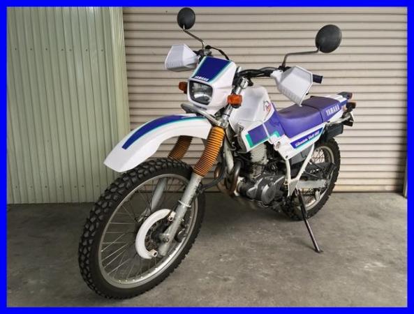 IMG_9870 セロー225W 1096.JPG