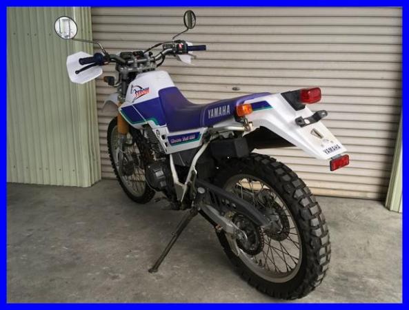 IMG_9871 セロー225W 1096.JPG